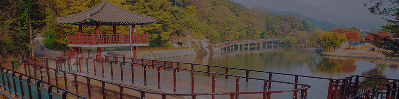 서브이미지